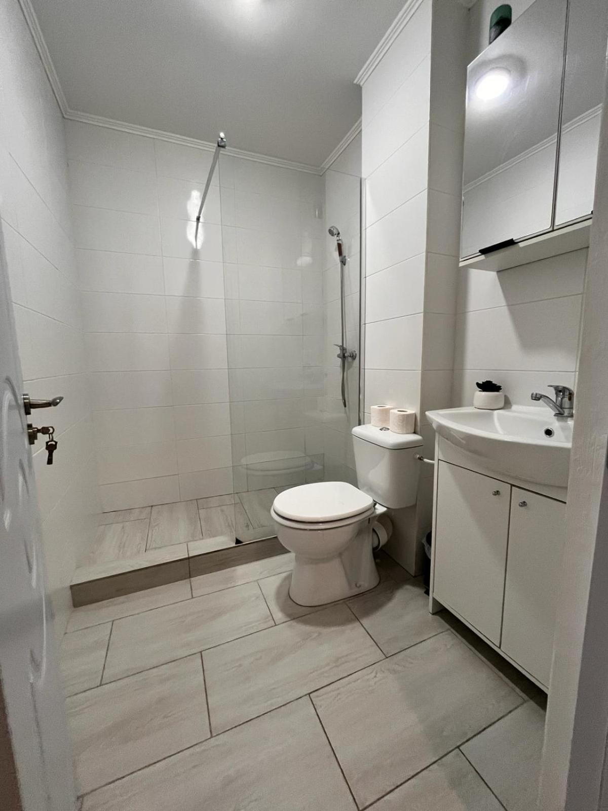 White & Silver Luxury Apartament Крайова Екстер'єр фото